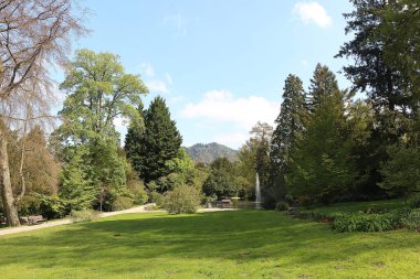 Enjoying the sights and smells of the pines and flower's in the parks around Badenweiler in the Black forest, Southern Germany 