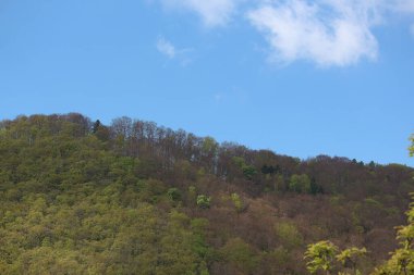 Sweeping views over the tree lined and occasionally snowy valleys and hills of the Black forest around Badenweiler in southern Germany near the border with Switzerland at the heart of Europe
