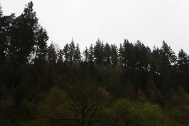 Sweeping views over the tree lined and occasionally snowy valleys and hills of the Black forest around Badenweiler in southern Germany near the border with Switzerland at the heart of Europe