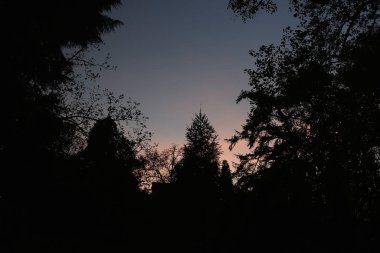 Night time falling over the stones of the castle at the too of the hill in Badenweiler, South Germany, near the Black Forest