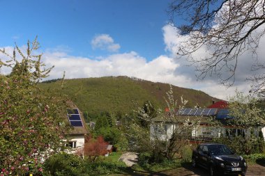 Enjoying the sights and smells of the pines and flower's in the parks around Badenweiler in the Black forest, Southern Germany 