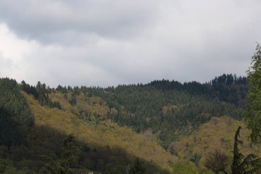 Sweeping views over the tree lined and occasionally snowy valleys and hills of the Black forest around Badenweiler in southern Germany near the border with Switzerland at the heart of Europe