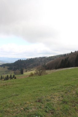 Sweeping views over the tree lined and occasionally snowy valleys and hills of the Black forest around Badenweiler in southern Germany near the border with Switzerland at the heart of Europe