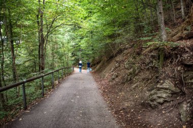 Sonbaharda Neuschanstein Kalesi 'ne giden bir patika..