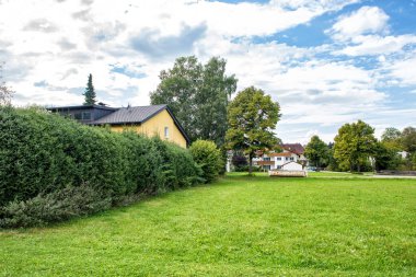 Çimler, ağaçlar, yeşil çitler ve yaz parkında bir patika..