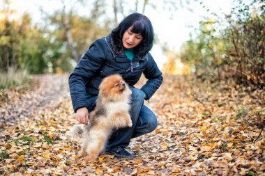 Parkta Pomeranya köpeği tükürüğüyle yürüyen bir kadın..