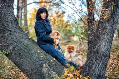 Parkta Pomeranya köpeği tükürüğüyle yürüyen bir kadın..