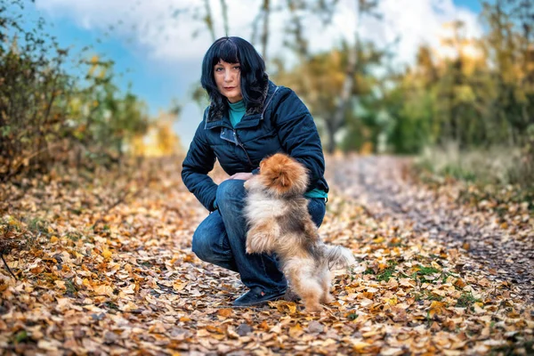 Eine Frau Geht Mit Einem Pommerschen Hundespitz Einem Park Spazieren — Stockfoto