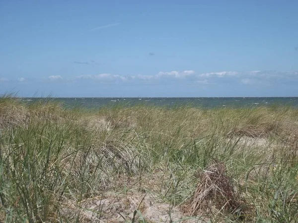 Вид Дюну Грааль Мюриц Мекленбург Западная Померания Германия Балтийское Море — стоковое фото