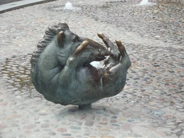 德国历史名城罗斯托克市政厅前的广场水泉 这里是一头野猪 — 图库照片