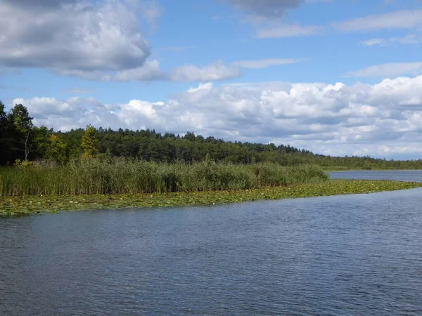 Idilliaco Granzower Moeschen Lago Nel Meclemburgo Lake District Meclemburgo Pomerania — Foto Stock