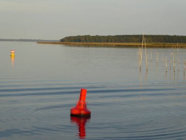 Mueritz 'in kıyıları Mueritz Ulusal Parkı, Mecklenburg-Batı Pomerania, Almanya uzun vadiler boyunca ormanla kaplıdır, ön planda bir şamandıra vardır.