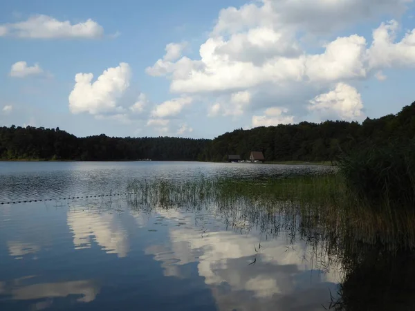 Úvahy Nebelsee Mlhové Jezero Které Hraničí Spolkovými Zeměmi Braniborsko Meklenbursko — Stock fotografie