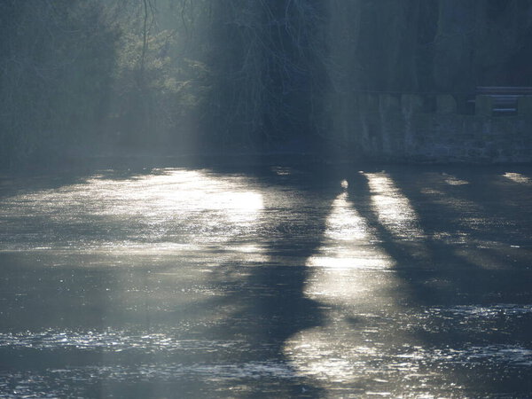 Fog and reflection on the frozen lake of Rombergpark, Dortmund, North Rhine-Westphalia, Germany