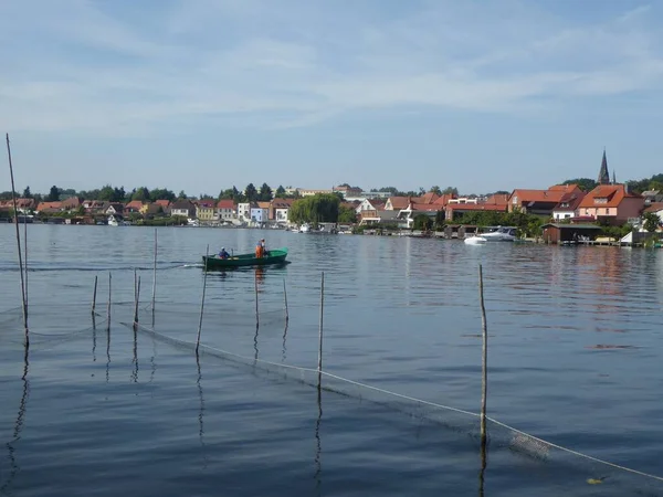 Vissen Het Meer Van Malchow Achtergrond Stad Malchow Mecklenburg Vorpommern — Stockfoto