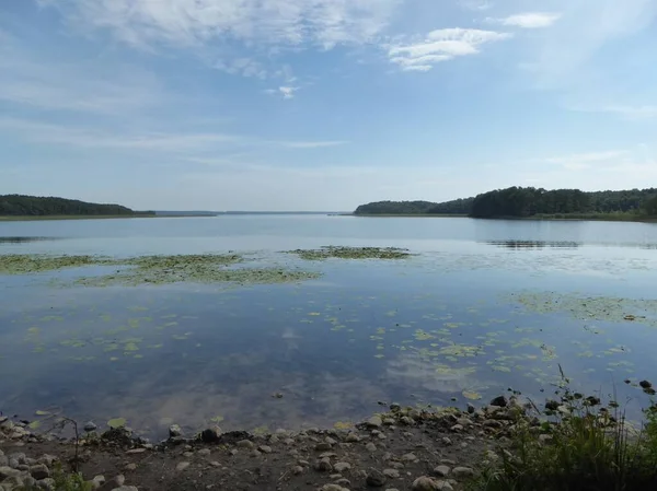 Nature Scenes Nature Reserve Damerower Werder Mecklenburg Western Pomerania Germany — Stock Photo, Image