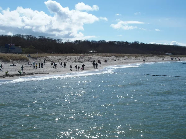 Baltic Sea Beach Graal Mueritz Mecklenburg Western Pomerania Germany April — стоковое фото