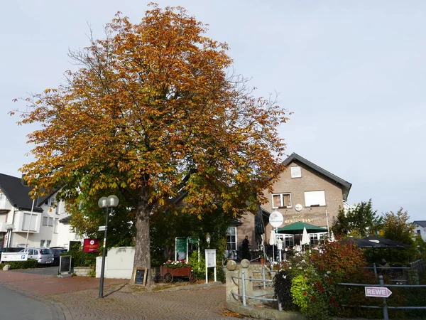 德国北莱茵 威斯特法伦州利普兰德市Bad Westernkotten的栗树和肉食 — 图库照片