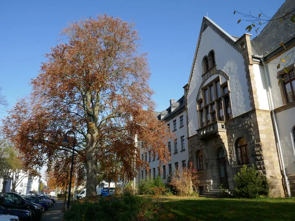 Κτίριο Διοίκησης Και Δένδρο Στο Arnsberg Sauerland Βόρεια Ρηνανία Βεστφαλία — Φωτογραφία Αρχείου