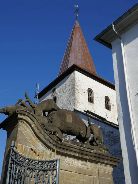 Szczegóły Psy Dziki Dzik Hirschberger Tor Brama Nim Wieża Kościoła — Zdjęcie stockowe