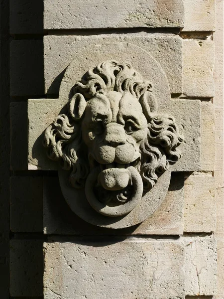 Λεπτομέρεια Κεφάλι Λιονταριού Ένα Από Κτίρια Του Κάστρου Schnellenberg Κοντά — Φωτογραφία Αρχείου