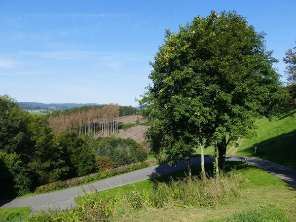 Back Dam Biggetalsperre Bigge Lake Sauerland North Rhine Westphalia Germany — Stock Photo, Image