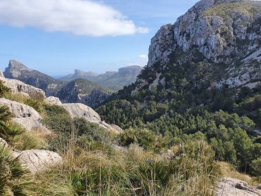 Cap Formentor, Mallorca 'daki Yeşil Vadi, Balear Adaları, İspanya