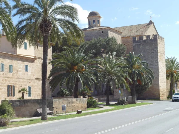 Palm Trees Fortification Tower City Walls Alcudia Mallorca Balearic Islands — Stock Photo, Image