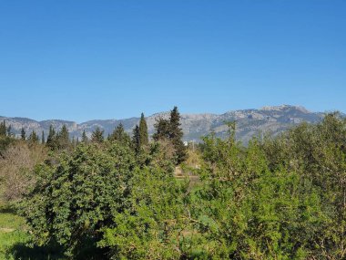 Tarihsel 'tren (ferrocarril) de soller' in (tren yolu), Mallorca, Balear Adaları, İspanya 'nın demiryolu hattının yanında yer alan Mallora manzarası, arkada Tramuntana dağları yer almaktadır.