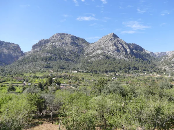 Mallorcaanse Landschap Naast Spoorlijn Van Historische Tren Ferrocarril Soller Trein — Stockfoto