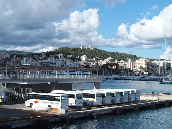 Busjes Wachten Toeristen Palma Cruise Terminal Achtergrond Midden Castel Belver — Stockfoto