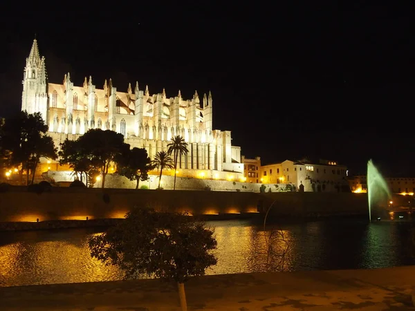 Собор Сеу Пальме Майорка Балеарские Острова Испания Ночью — стоковое фото