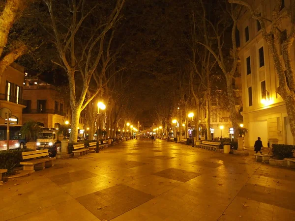 Passeig Des Born Palmie Majorka Baleary Hiszpania Nocą — Zdjęcie stockowe