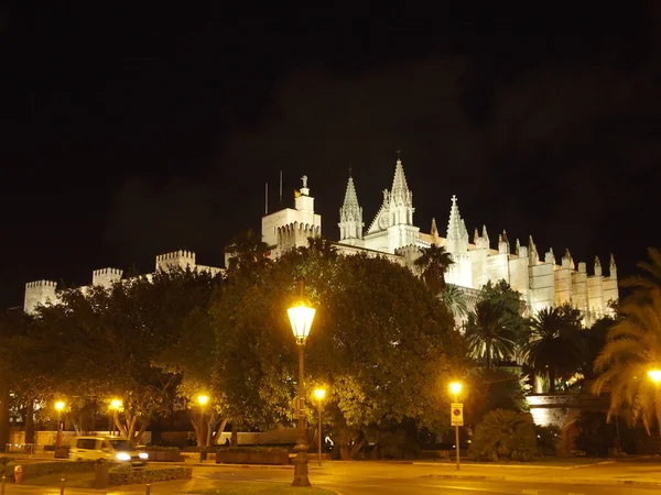 Almudaina Paleis Seu Kathedraal Palma Mallorca Balearen Spanje Nachts — Stockfoto