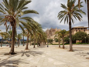Palma, Mallorca, Balearic Adaları 'ndaki La Seu Katedrali önünde Parc de la mar (Deniz Parkı)