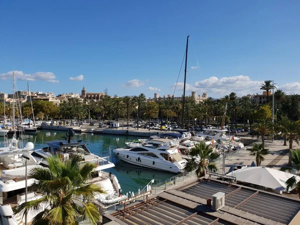 Palma Mallorca Balearic Adaları Spanya Nın Geniş Marinasının Bir Kısmı — Stok fotoğraf