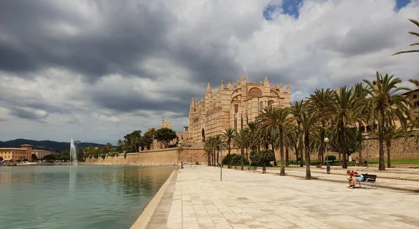 Schöner Parc Mar Meerespark Mit Der Kathedrale Seu Hintergrund Palma — Stockfoto