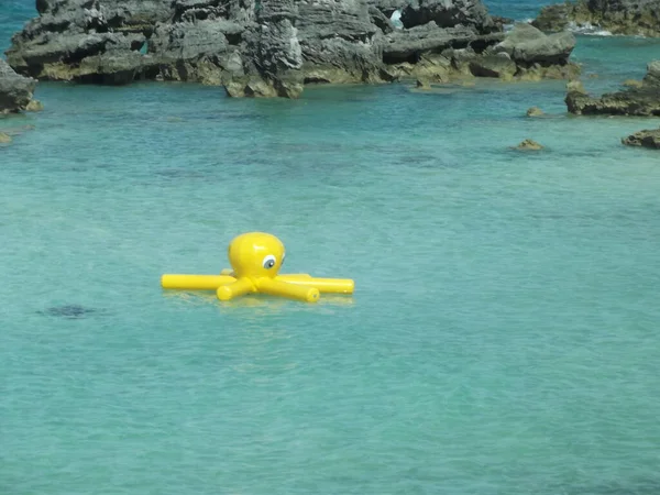 Une Plage Secrète Des Bermudes Est Baie Tabac Grand Bermudes — Photo