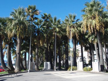 Cannes, Fransa 'da küçük bir parkta savaş anıtı