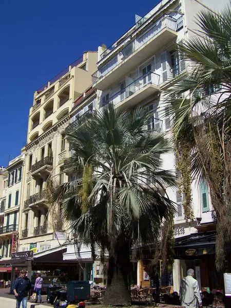 Straatscene Met Prachtige Palmbomen Cannes Frankrijk — Stockfoto
