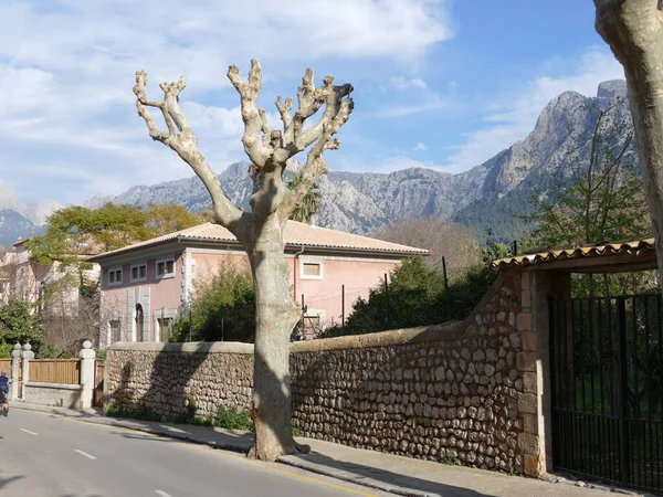 Soller, Mallorca, Balearic Adaları, İspanya 'da arka planda Serra de Tramuntana dağları bulunan sokak manzarası