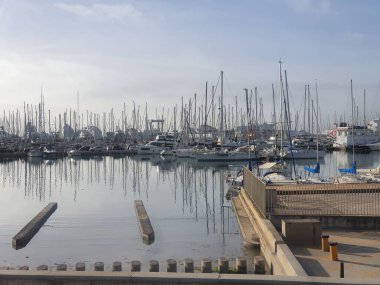 Palma, Balear Adaları, İspanya 'nın popüler Marina' sı