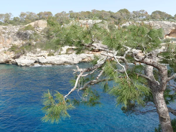 Detail Scenic Bay Cala Figuera Mallorca Balearic Islands Spain — Stock Photo, Image
