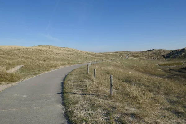 Camino Través Las Dunas Mar Del Norte Aquí Cerca Julianadorp — Foto de Stock