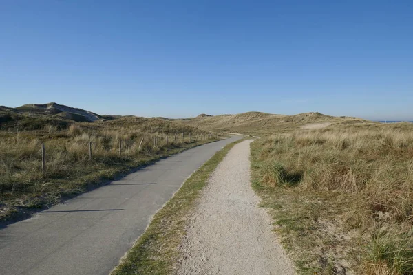 穿越北海沙丘的自行车道和人行横道 在荷兰北荷兰Julianadorp附近 图库图片