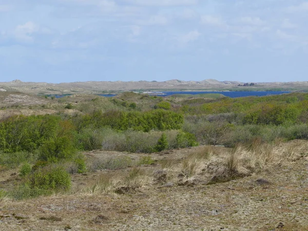 St. Maartenszee yakınlarındaki kum manzarası, Kuzey Hollanda, Hollanda, Hollanda