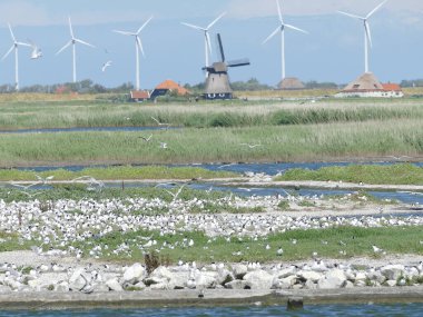Petten, Kuzey Hollanda, Hollanda, Hollanda ve Hollanda yakınlarındaki 