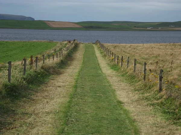Grazing Track Ring Brodgar Isle Mainland Orkney Islands Scotland United — Foto de Stock