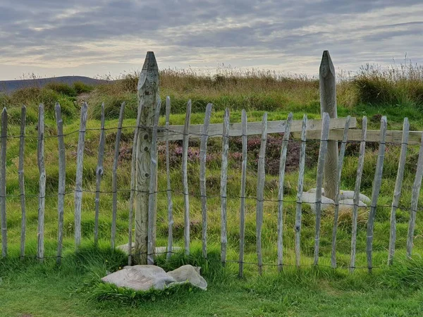 Fence Orkney Mainland Orkney Islands Scotland United Kingdom — Foto de Stock