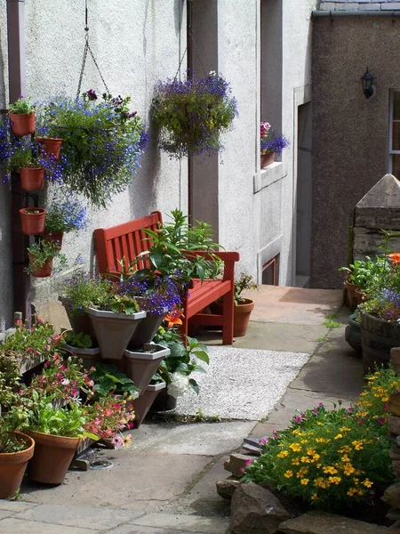 Cheerful Colorful Flowers Alleyway Stromness Orkney Mainland Orkney Islands Scotland — 스톡 사진